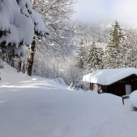 Ferienhaus Baerschwendi Lungern Kültér fotó