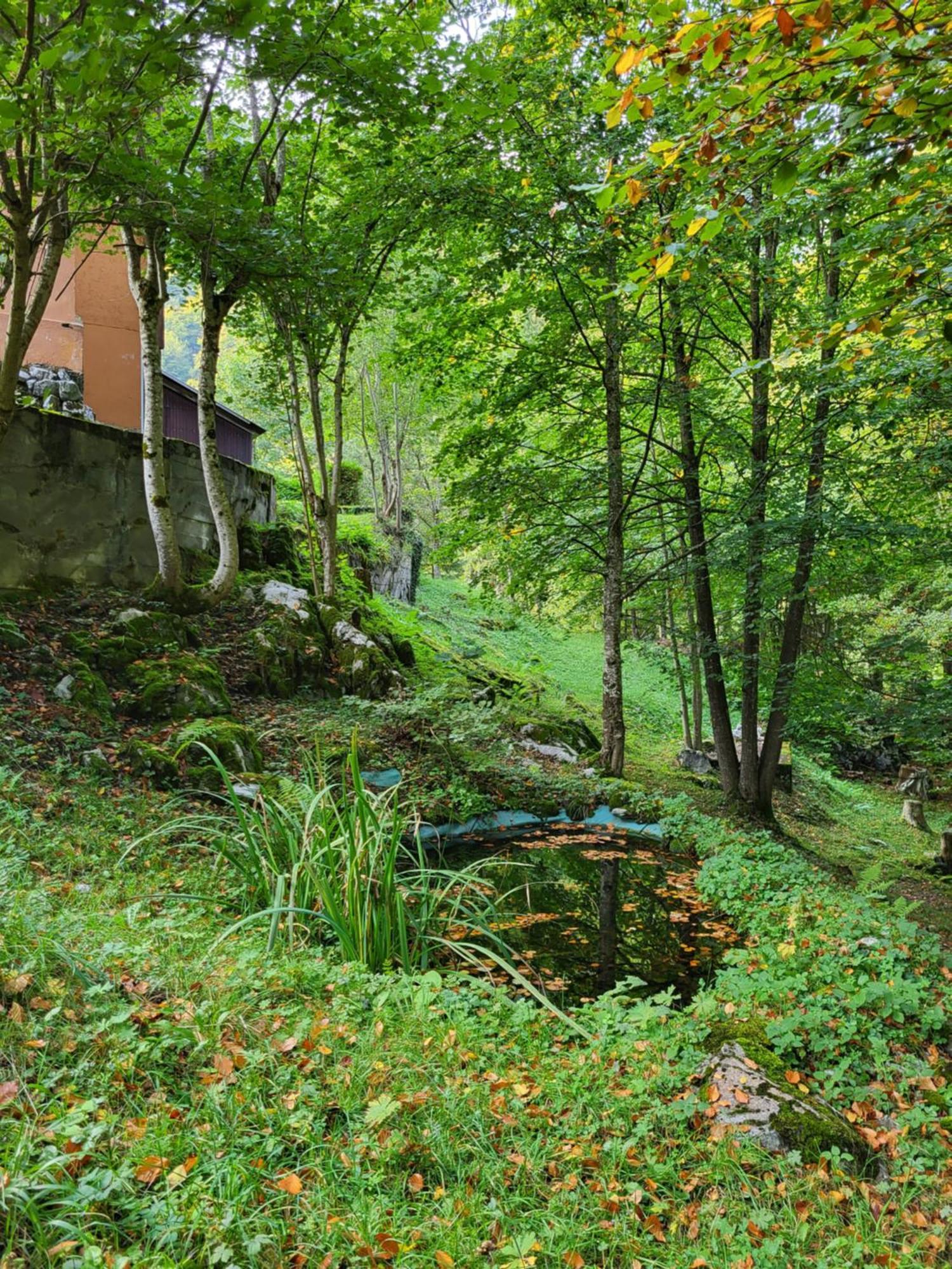 Ferienhaus Baerschwendi Lungern Kültér fotó